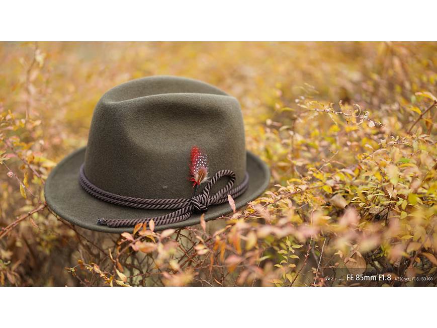 ふくろう　SONY SEL85F18 Sony SEL85F18/2 FE 85mm f/1.8 Medium telephoto prime lens for Sony