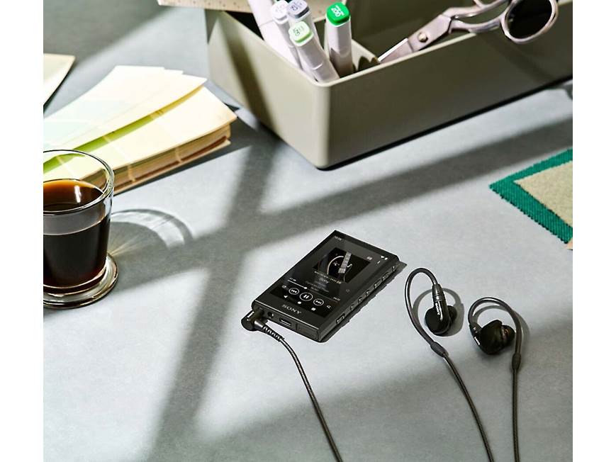 Sony NW-A306 Walkman® High-resolution portable digital music