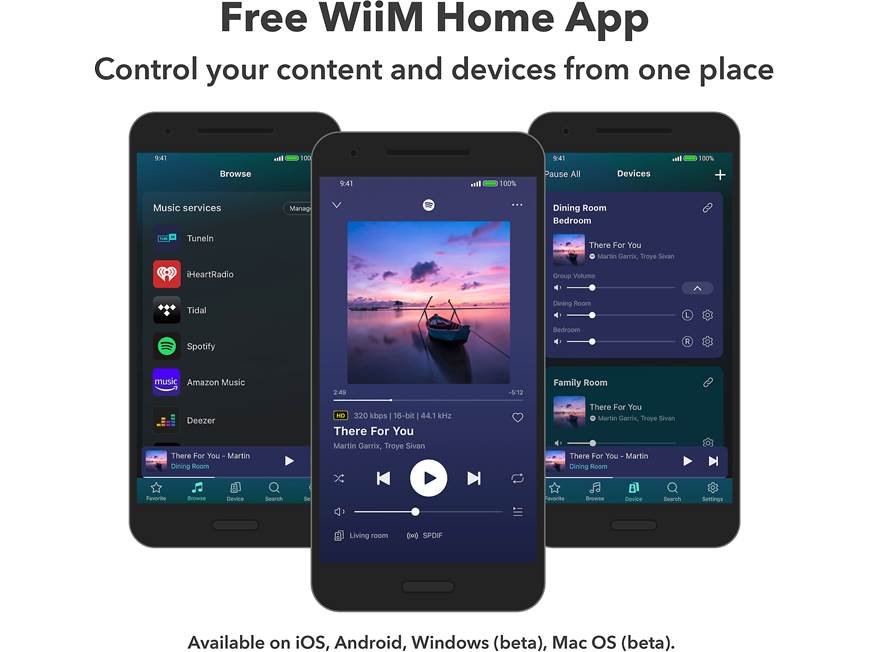 その他 wiim mini WiiM Mini Music Streamer The Audio Co.