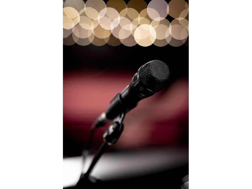 Shure NXN8/S Nexadyne™ Series supercardioid dynamic microphone at