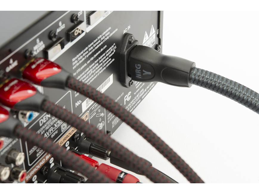 AudioQuest NRG-Y3 (1 meter/3.25 feet) High-performance AC power