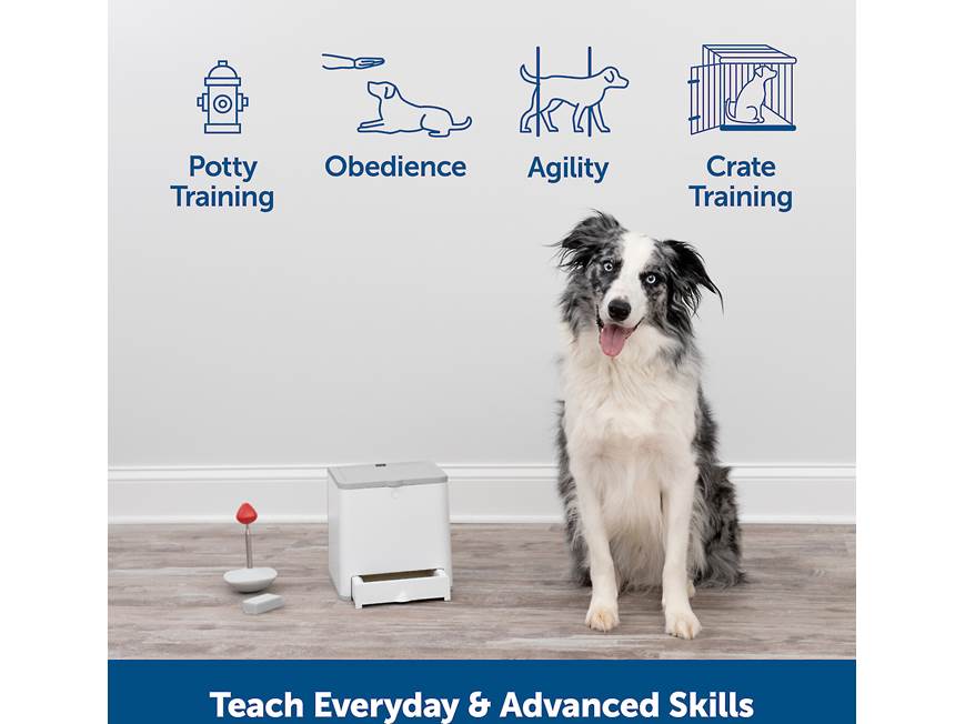 PetSafe Teach & Treat Remote Reward Trainer Automatic dog treat