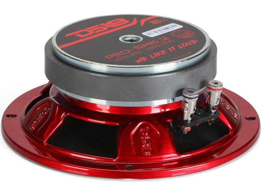 DS18 PRO-SM6.2 Pro shallow-mount 6.5