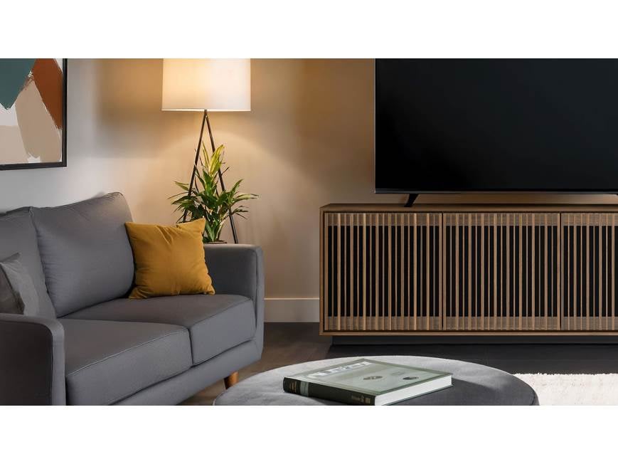TV cabinet with couch and plant