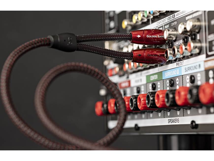 AudioQuest Golden Gate (1 meter/3.3 feet) Stereo interconnect