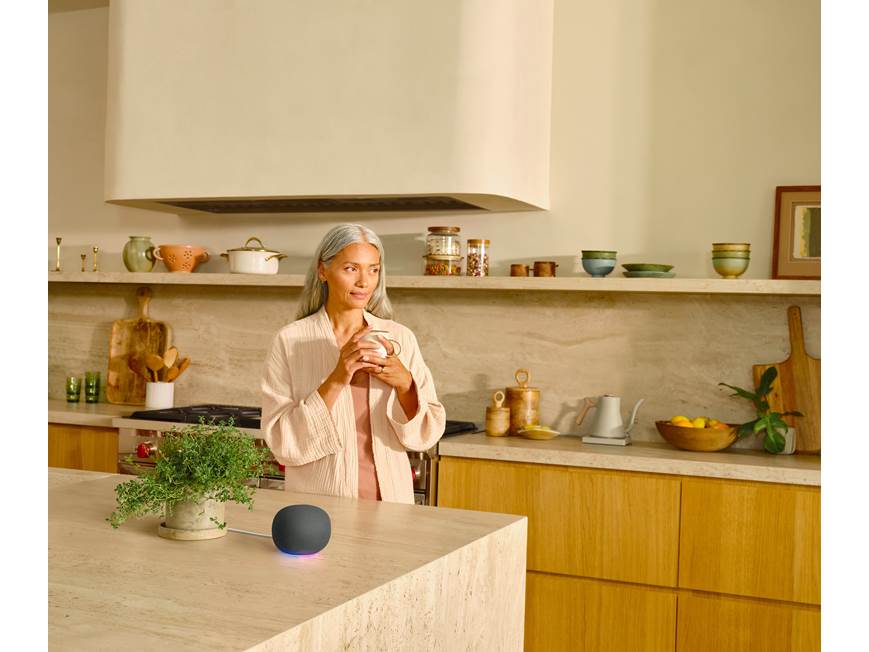 Google Home Speaker (Hazel): price, highlights, specs, photos