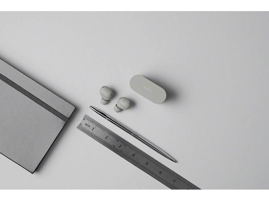 Sony WF-1000XM6 (Platinum Silver) True wireless earbuds with Sony WF-1000XM6 (Platinum Silver) True wireless earbuds with