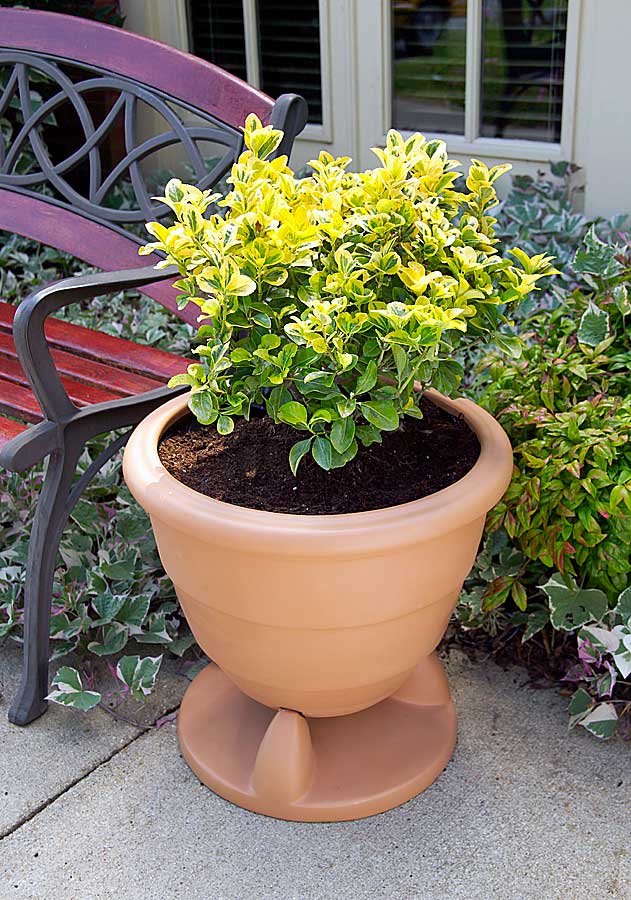 planter speaker