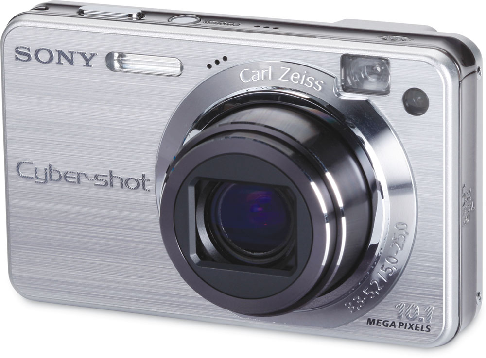 Customer Reviews: Sony Cyber-shot DSC-W170 (Silver) 10.1-megapixel
