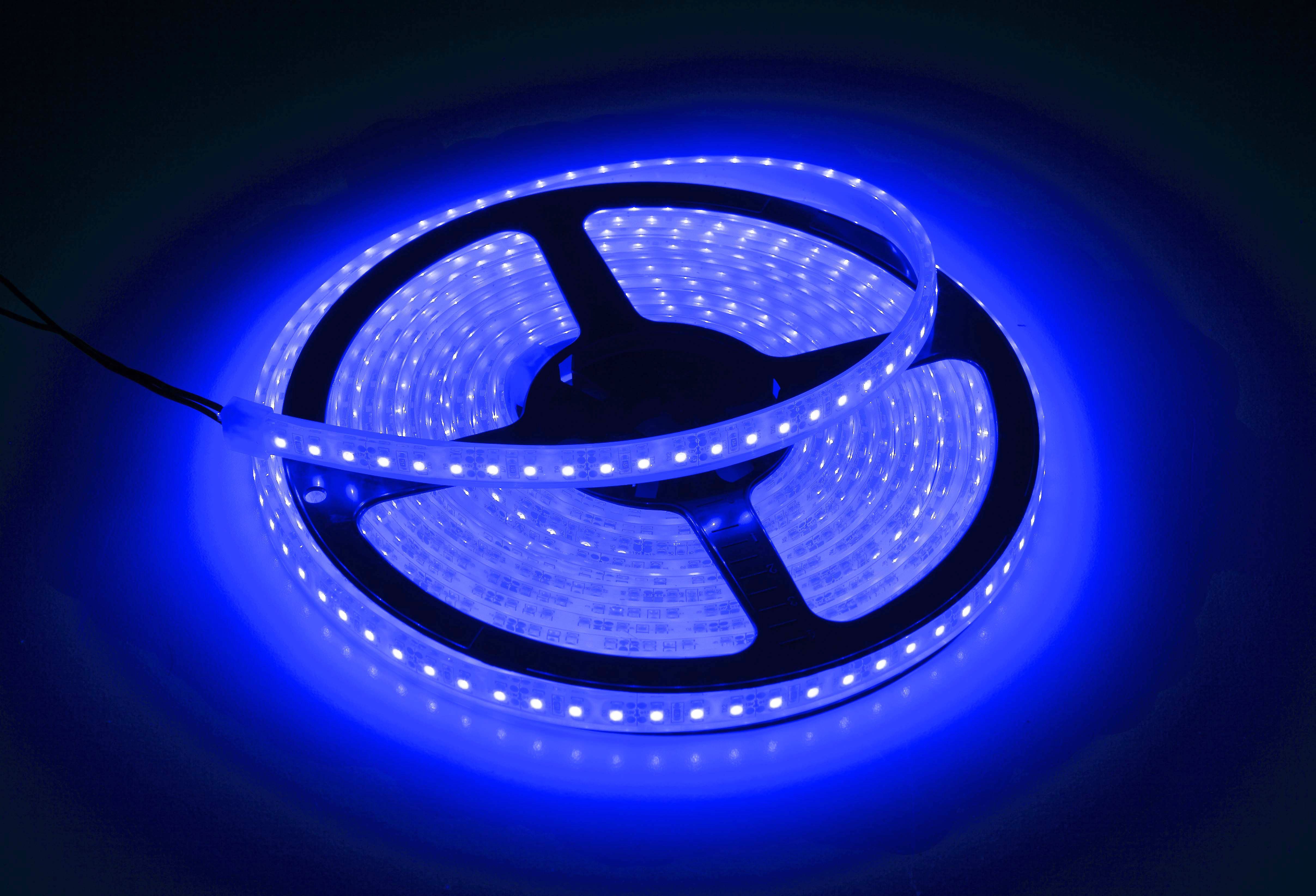 Customer Reviews: Wet Sounds SPOOL 5M-BLUE (Blue) 5-meter spool of LED ...