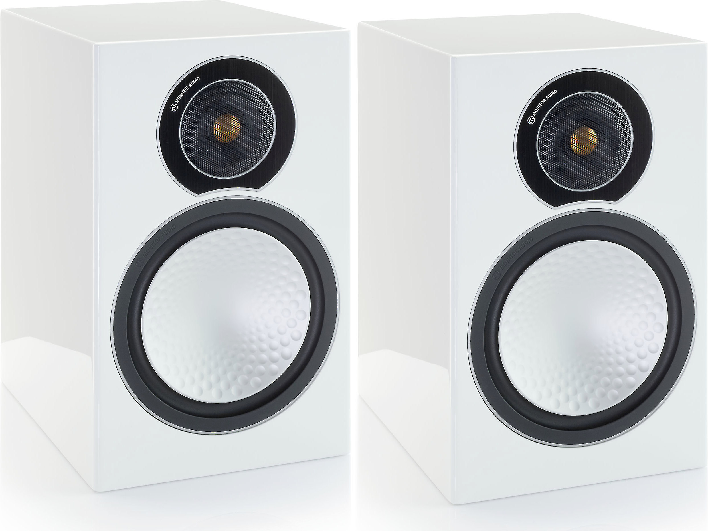 monitor silver 2