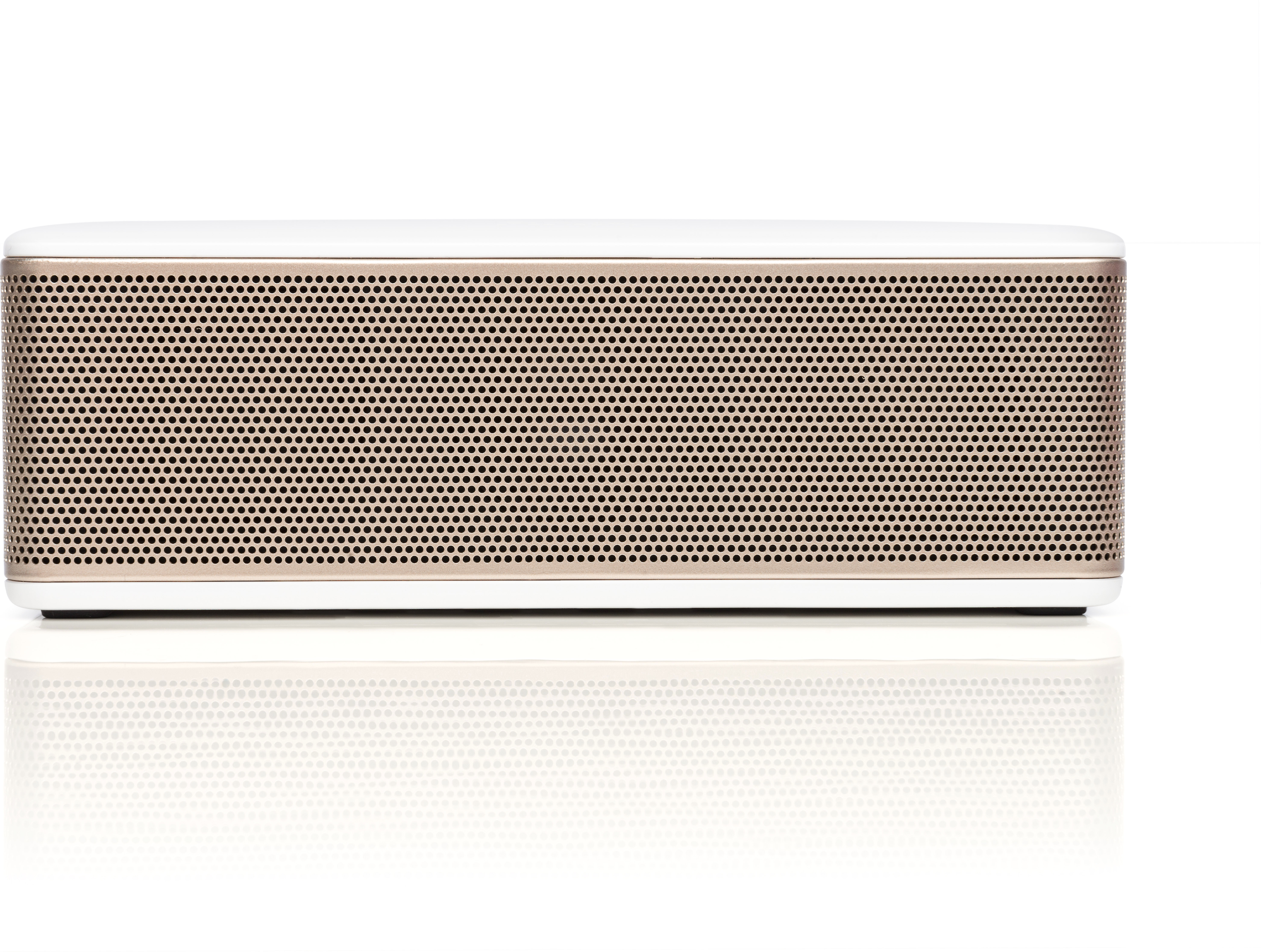 riva s speaker