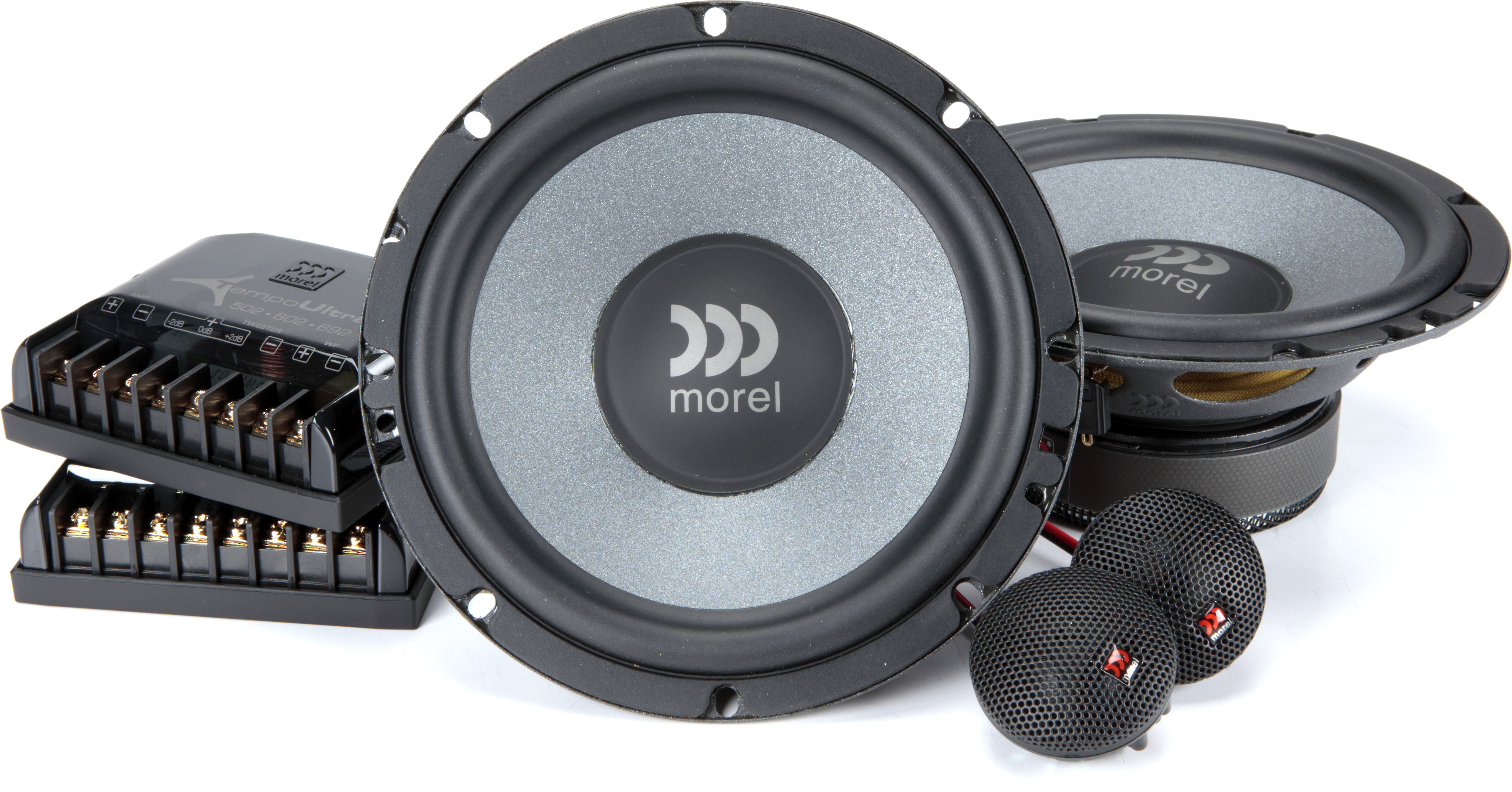 morel tempo tweeter