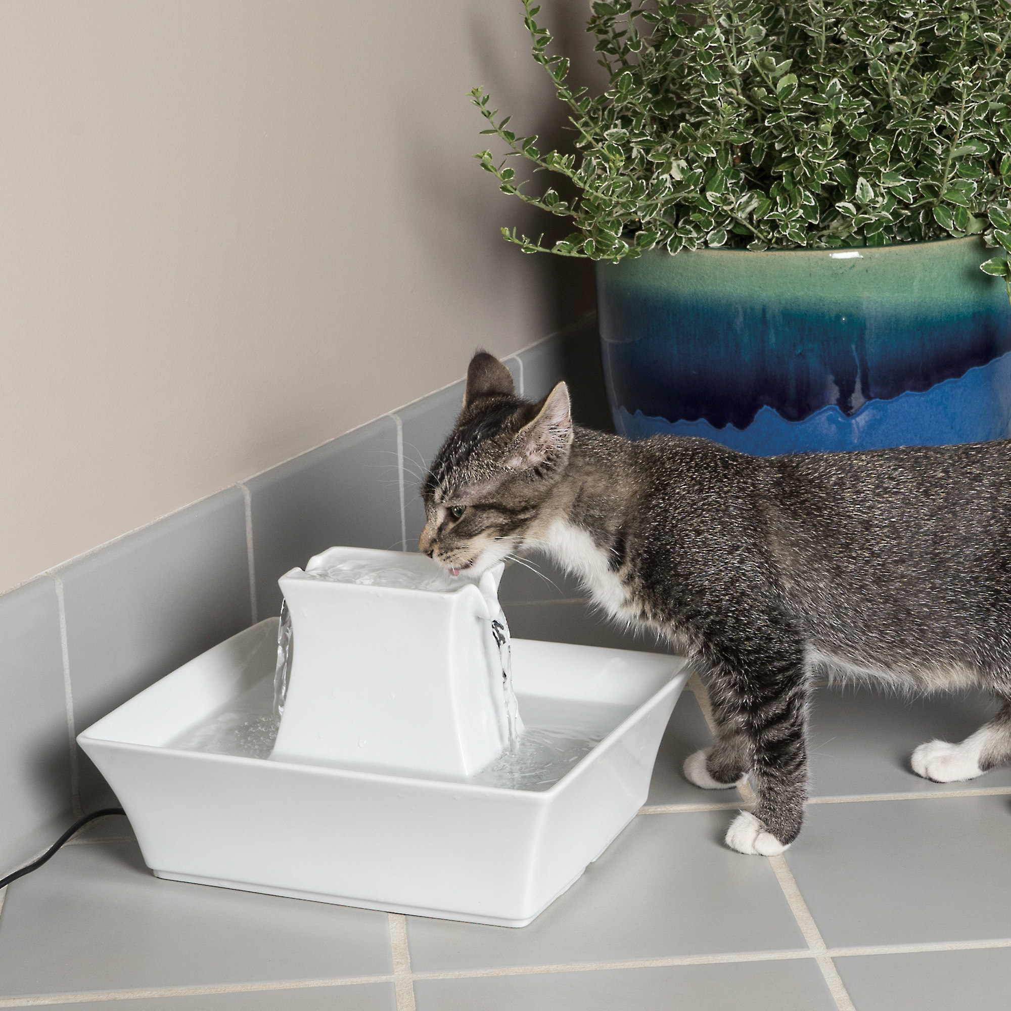 petsafe porcelain pagoda