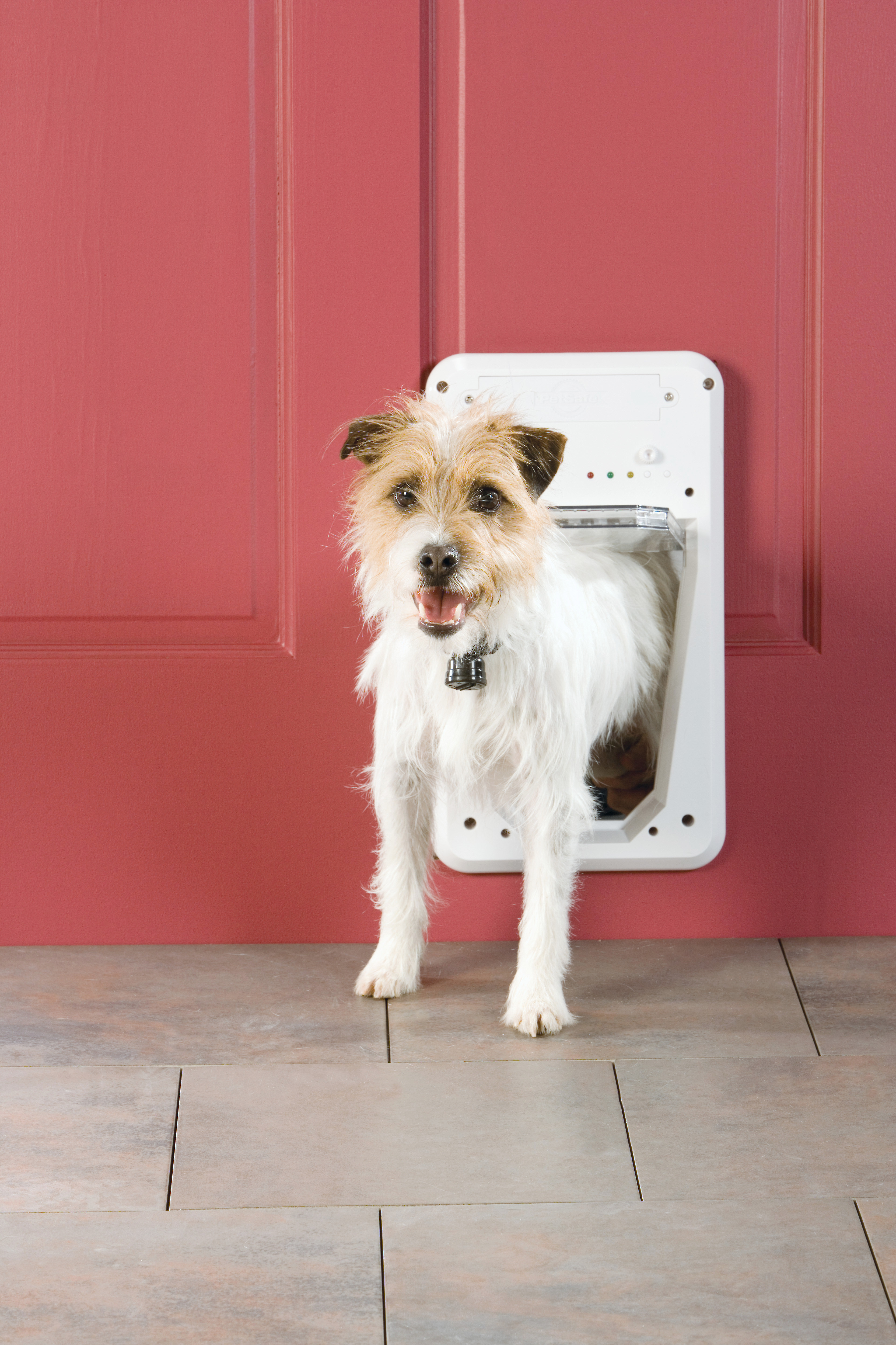 Petsafe Small Electronic Smartdoor Electronic Locking Pet