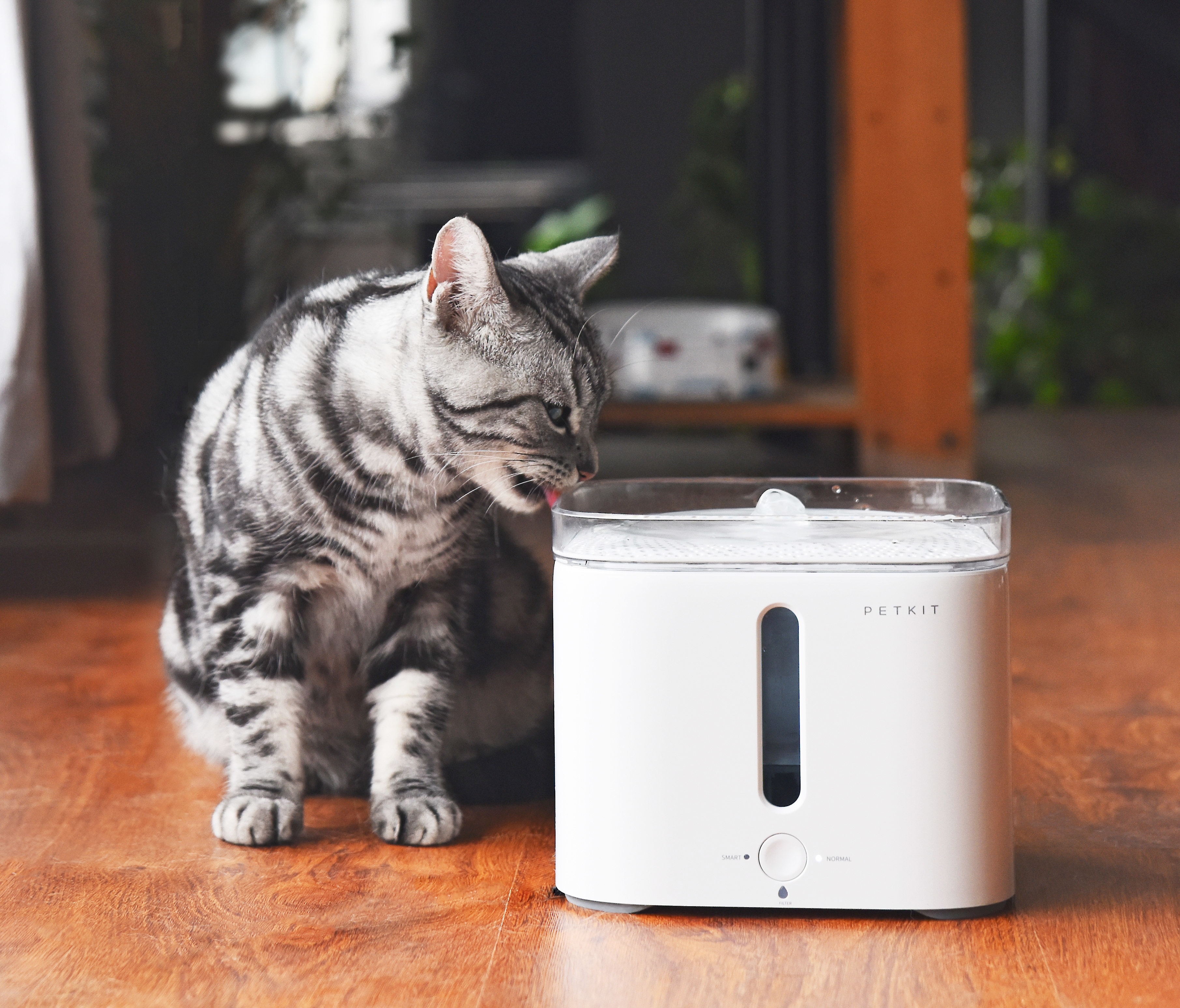 petkit smart drinking fountain