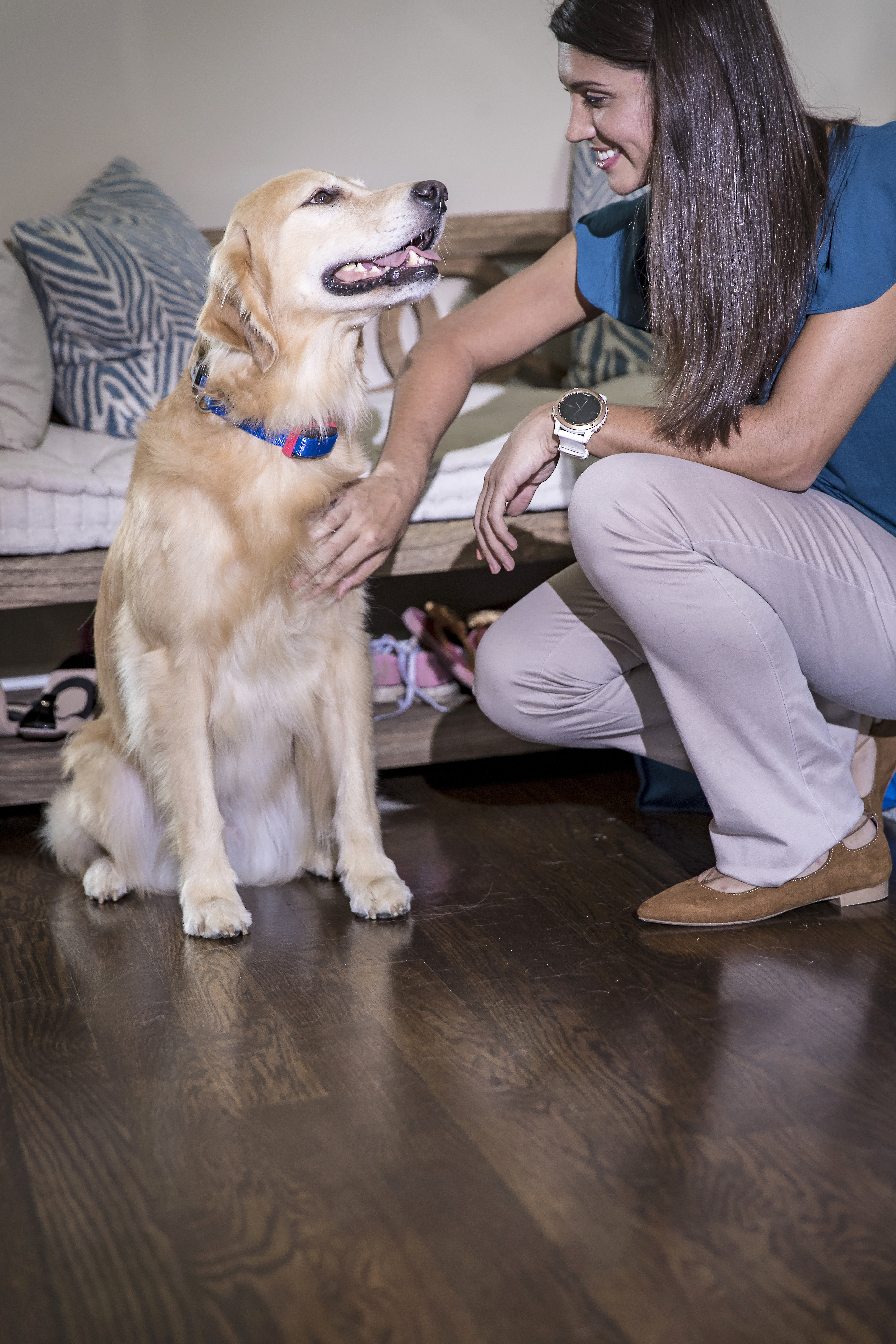 garmin delta smart dog training bundle