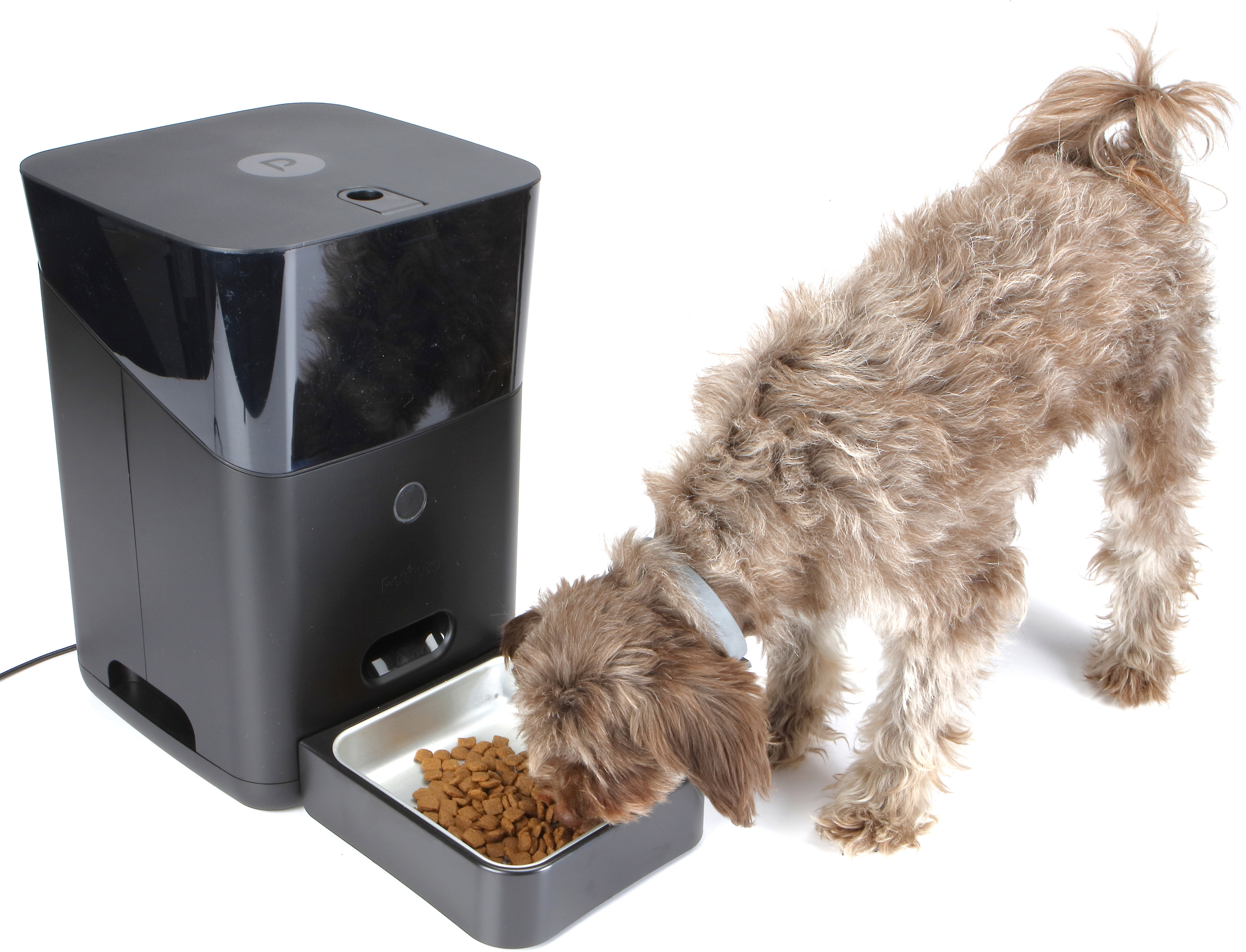 automatic dog feeder 50 lb