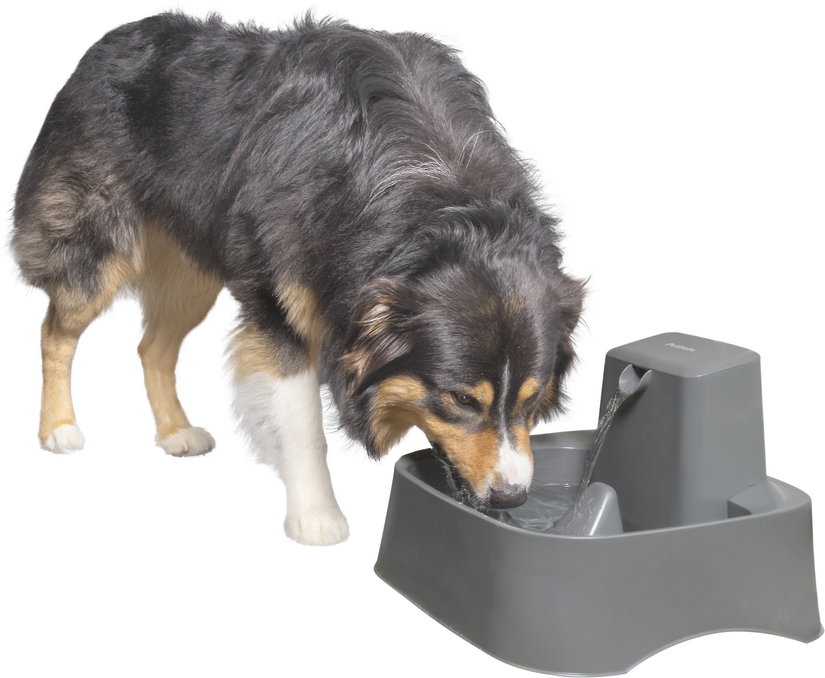 petsafe drinkwell 2 gallon dog and cat water fountain