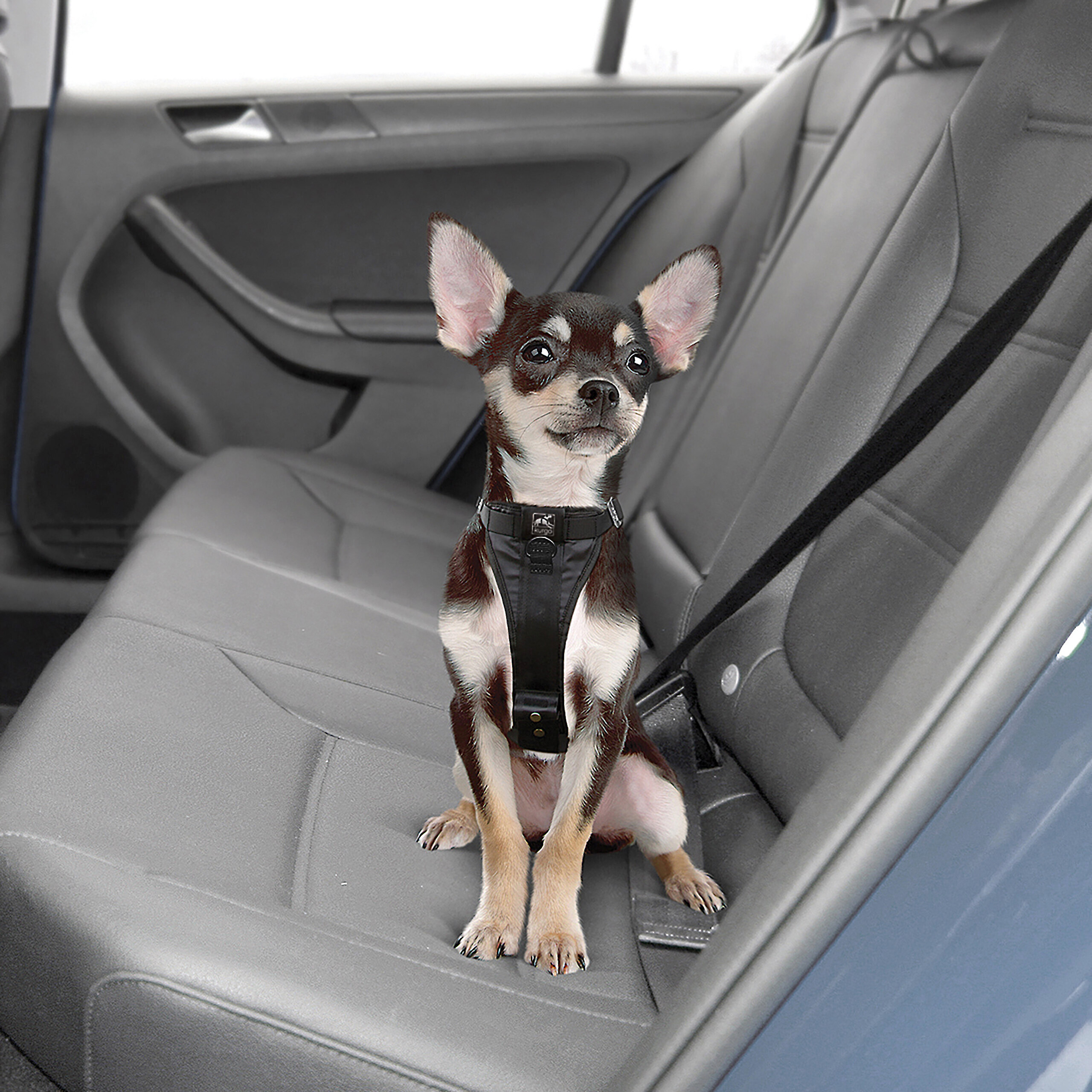 Customer Reviews Kurgo Enhanced Strength Vehicle Harness (Extra Small) Safety car harness for