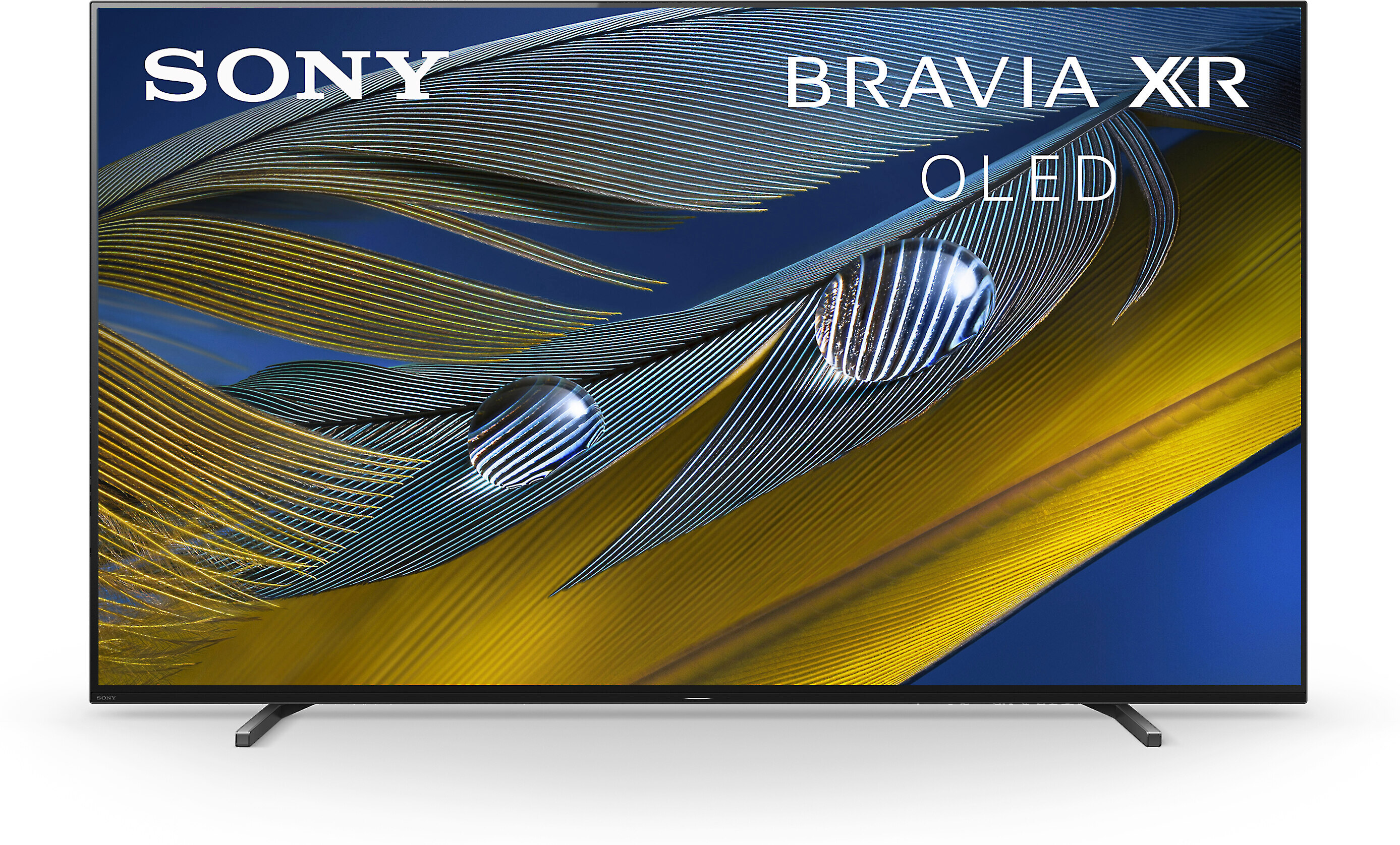 Customer Reviews: Sony BRAVIA XR-55A80J 55