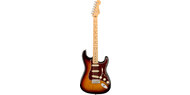 Electric Guitars